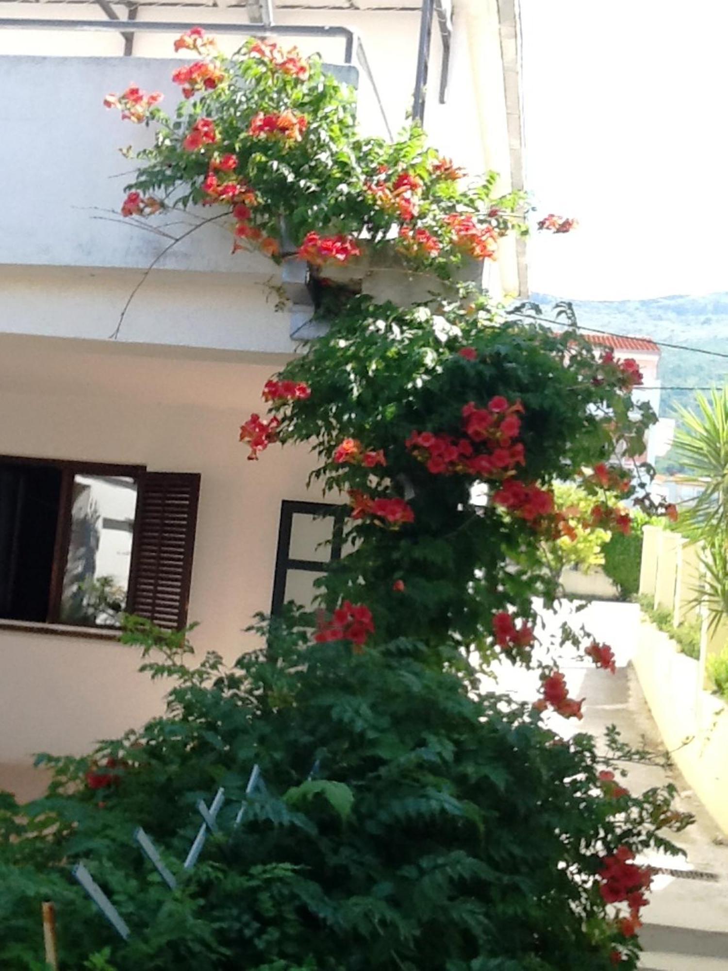 Villa Tamaris On The Beach Подстрана Номер фото